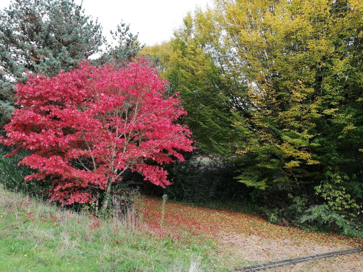 Le Gite Du Parc La Coquille Kültér fotó