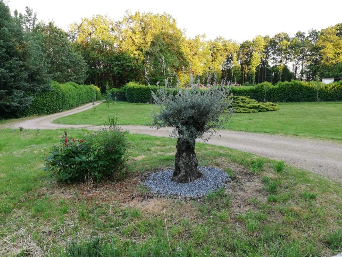 Le Gite Du Parc La Coquille Kültér fotó